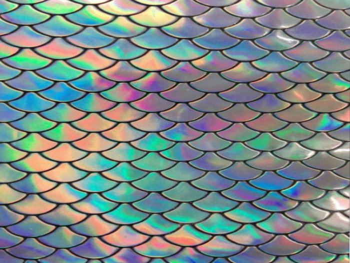Colored Scales Texture