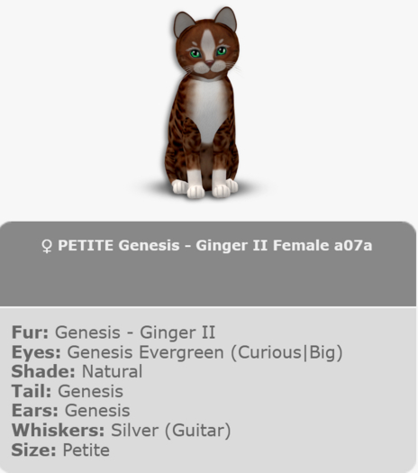 KittyCatS Box - PETITE Genesis - Ginger II Female a07a
