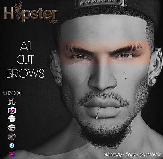 [Hipster Style] Cut Eyebrows A1 - FATPACK