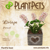 PlantPet Seed [Liriope *Parasol*] - Common - Red & White - Updated