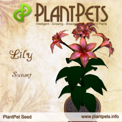 PlantPet Seed [Lily *Sunset*]