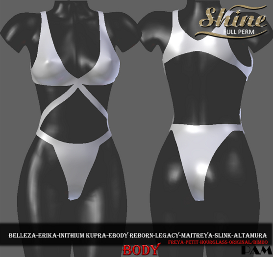 [SHINE FULL PERM]  BODY PAM