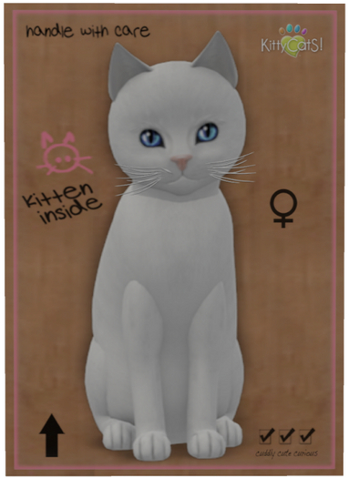 KittyCatS Box - Russian - White