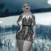 JOMO (Werwolf) CrazyLace Dress 