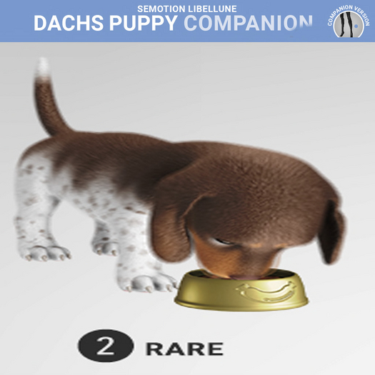 SEmotion Libellune Dachs Puppy Companion RARE 02