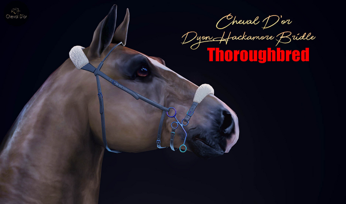 Cheval D'or / TeeglePet Thoroughbred / Dyon Hackamore Bridle [HUD]