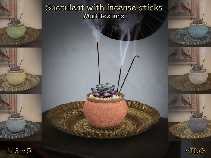 Succulent with incense sticks - Multitexture