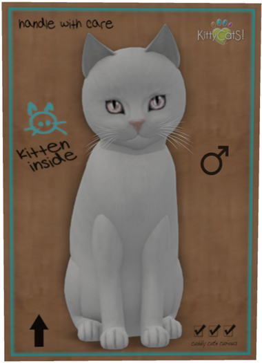 KittyCatS Box - Russian - White