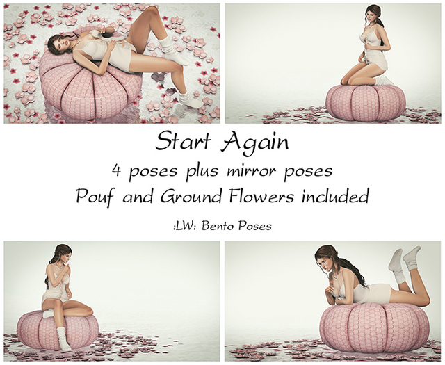 :LW: Bento Poses - Start Again BOXED