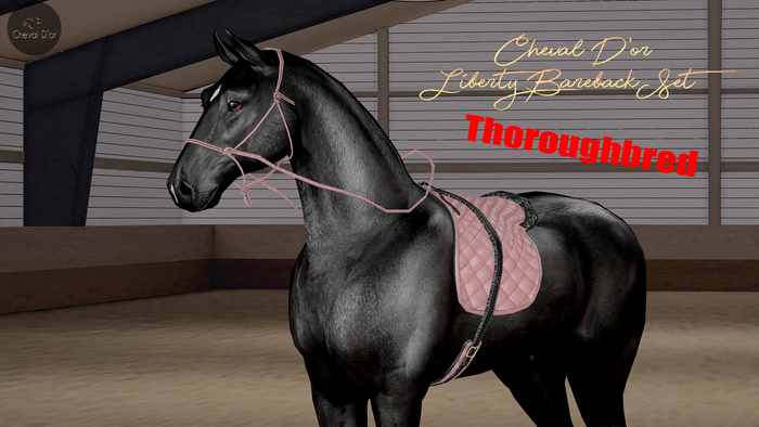Cheval D'or / TeeglePet Thoroughbred / Liberty Bareback Set. [HUD]