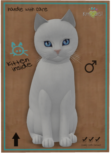 KittyCatS Box - Russian - White
