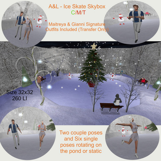 A&L - Ice Skate Christmas Skybox
