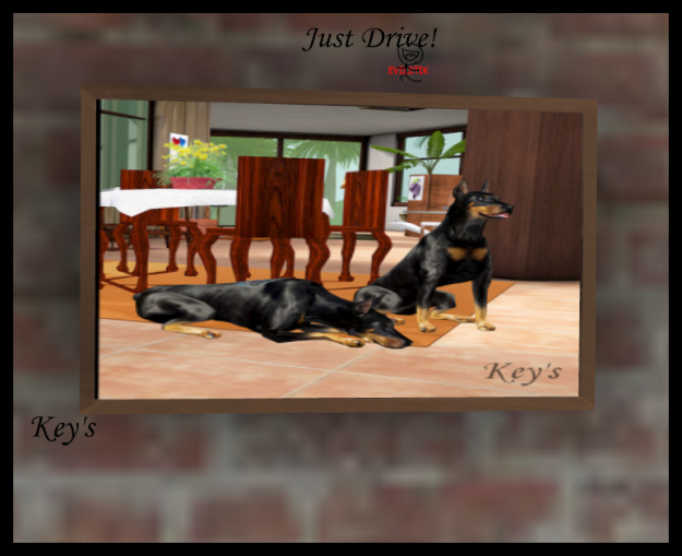 Frame Scroller Wall v1B 1LI Walnut-Black - Show your SL History in Photos and Set fade type and Timing-only 1 LI !