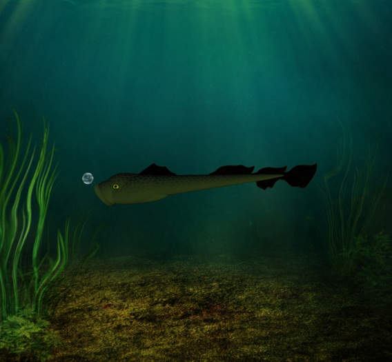 (7S) Uncommon Fish: Green Lamprey