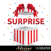 SHINE FULL PERM  19  CREATION