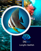 Epic Reef- Longfin Batfish 