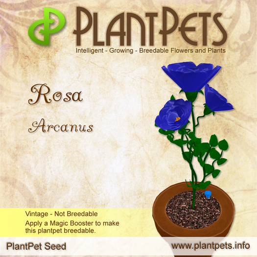 PlantPet Seed [Rosa *Arcanus*]