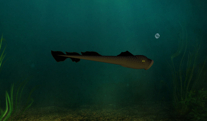 (7S) Uncommon Fish: Brown Lamprey