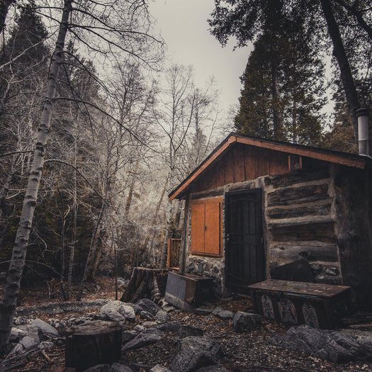 Log Cabin