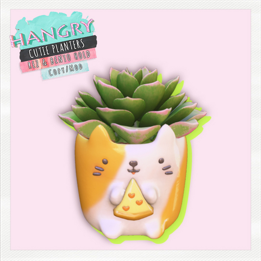 Hangry  - Cutie Planters - Kitty