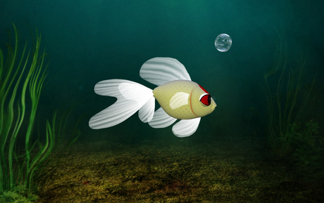 Second Life Marketplace - (7S) Uncommon Fish: Tancho Goldfish