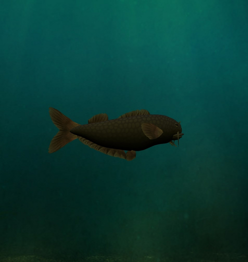 (7S) Uncommon Fish: Yellow Catfish