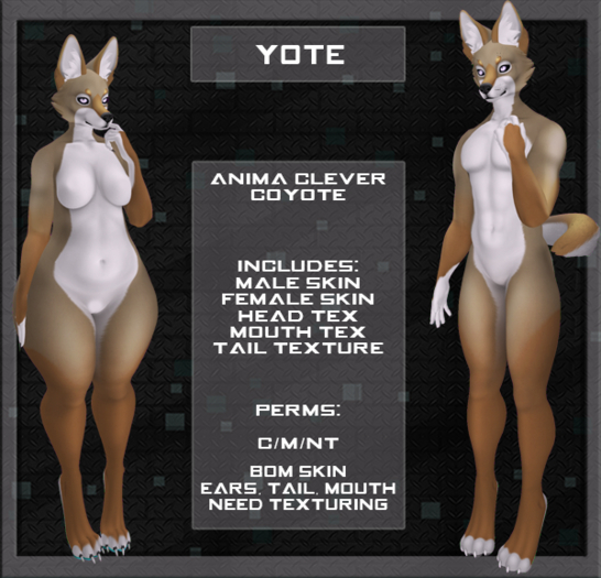 MonCafe - Yote - (Anima Coyote)