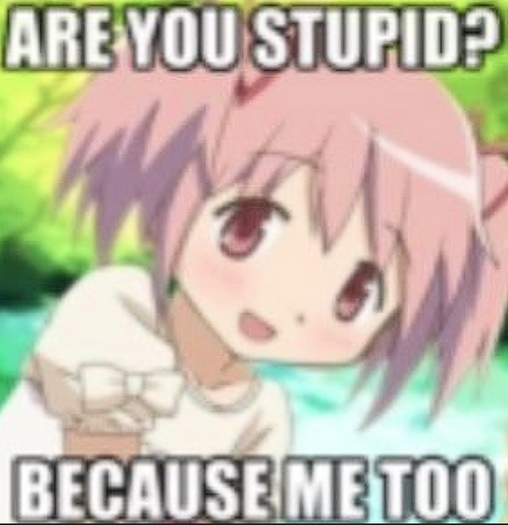 Are you stupid?