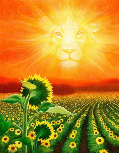 wolf sunflowers