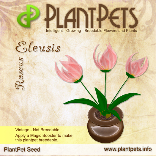 PlantPet Seed [Eleusis *Roseus*]
