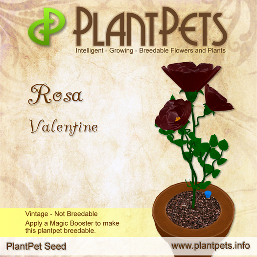 PlantPet Seed [Rosa *Valentine*]