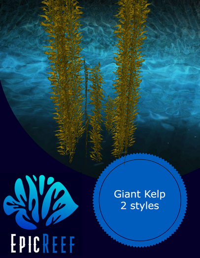 Epic Reef- Giant Kelp 