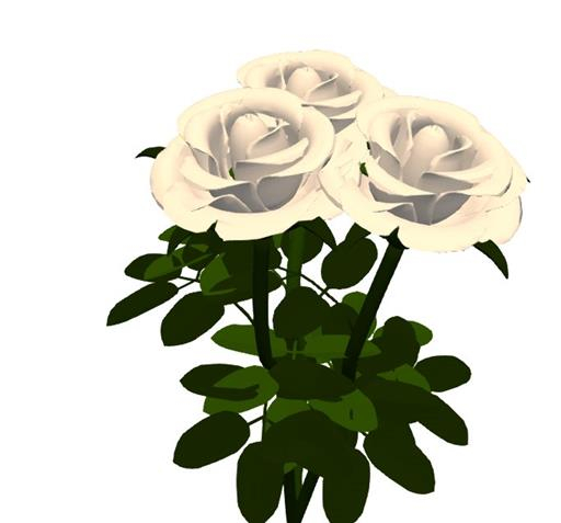 Rosen, Rosenstrauß weiß