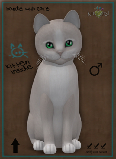 KittyCatS Box – New Born Kitten – Fur: Genesis – Pearl II – Eyes: Evergreen