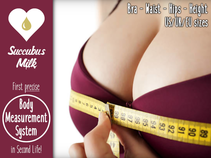 Body Measurement System