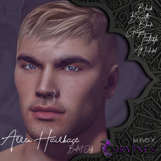 ~Corvines~Arren Hairbase ~