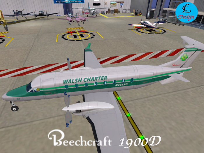 Beechcraft Walsh Charter (Passengers & Cargo)