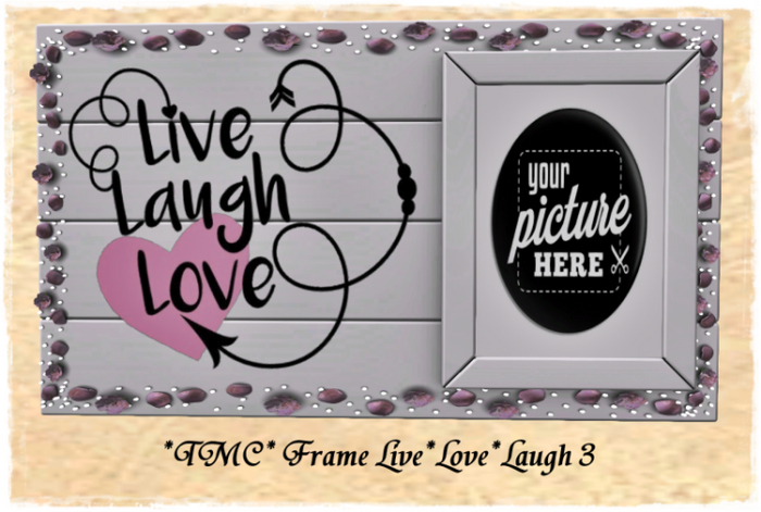 ~TMC~ Frame Live Love Laugh 3