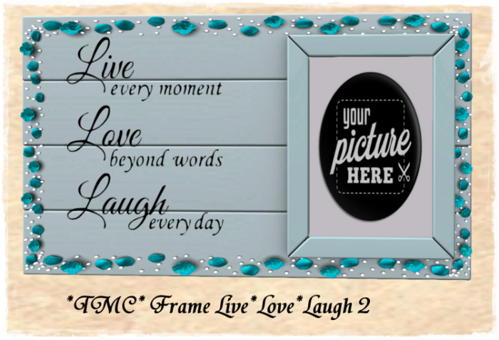 ~TMC~ Frame Live Love Laugh 2