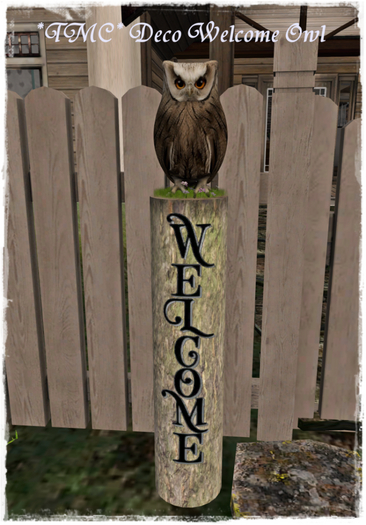 ~TMC~ Deco Welcome Owl