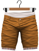 RIOT / Sam Shorts - Pumpkin