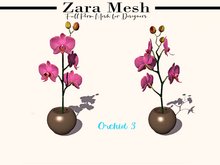 ZM - Plants - Orchid 3 - FULL PERM MESH