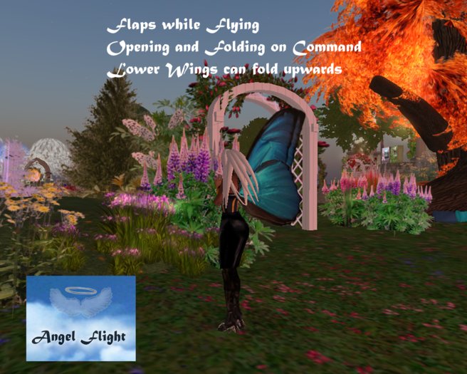 Angel's Flight Marika Blue - Medium