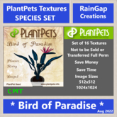 PLANTPETS TEXTURES SET BIRD OF PARADISE (16)