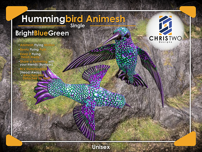 HummingBird - Bright Blue Green - [Chris Two Designs]