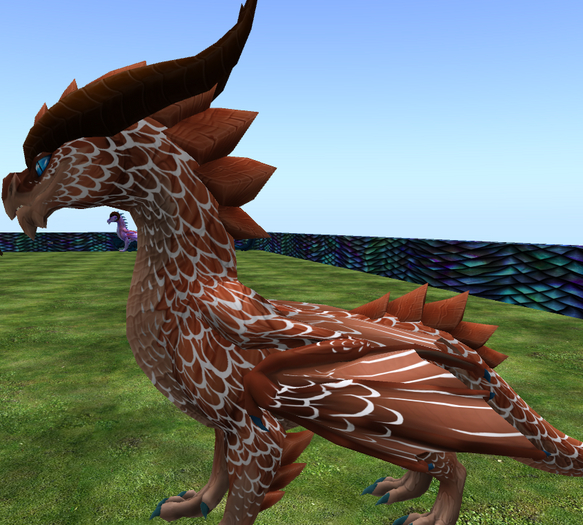 ORVINTAL LACING LACE