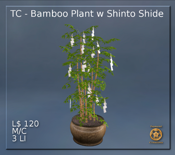 TC - Bamboo Plant w Shinto Shide