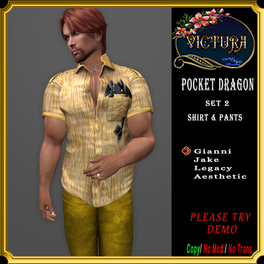 Pocket Dragon Set 2 
