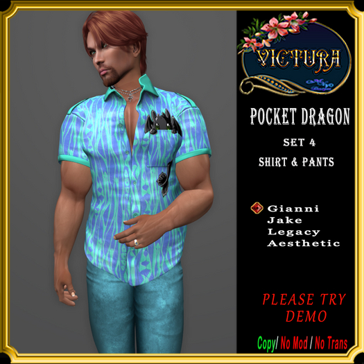Pocket Dragon Set 4  