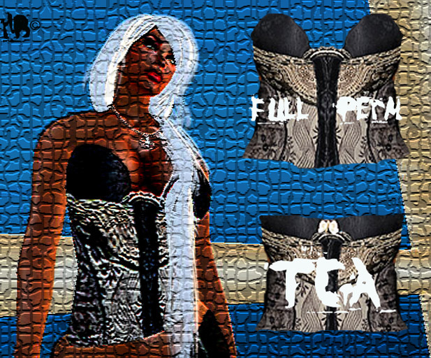 Hb- *Wow* Queen Corset TGA file full perm.